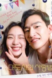 หนังเกาหลี Love in the Big City